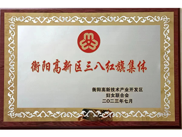 衡陽高新區(qū)三八紅旗集體