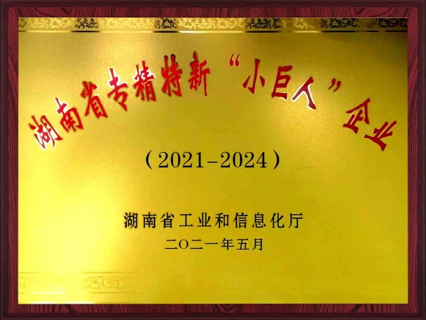 湖南省專精特新“小巨人”企業(yè)