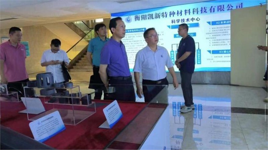 湖南省工信廳深入凱新科技開展2024年度國家級綠色制造現(xiàn)場評估