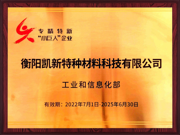 國家專精特新“小巨人”企業(yè)